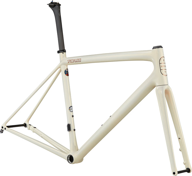 74 Casablanca/Ginko