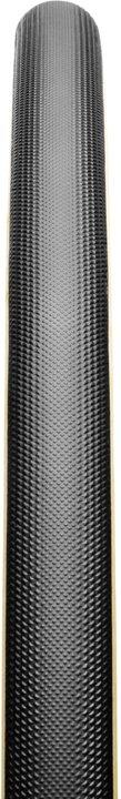 Black/Transparent Sidewall